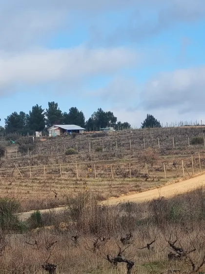  Parcelas En Cauquenesséptima Región 