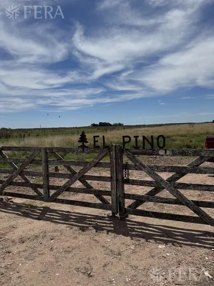 Venta De Campo En  Chascomus