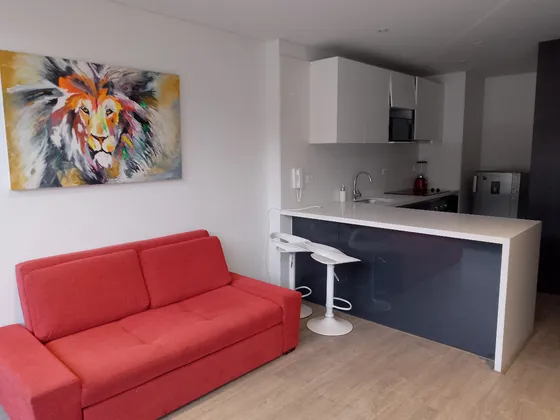 Apartaestudio Tipo Loft