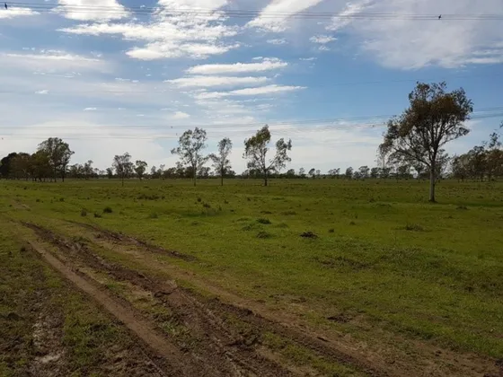 Campo 170 Ha S/ Ruta 2 (excelente Para Emprendimiento) )