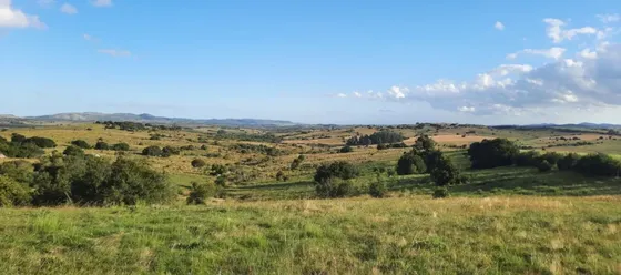 Quinta En Venta En Maldonado