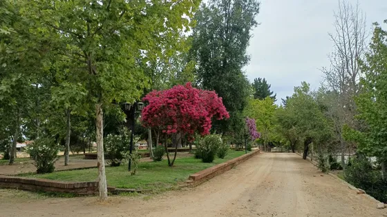 Hermosas Parcelas Con Acceso Al Lago Rapel. Sin Comisión