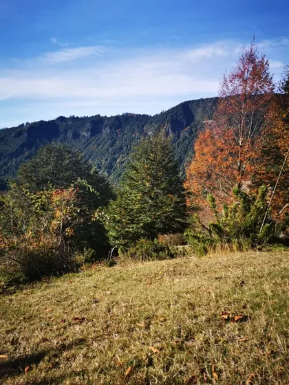 Parcela En Rinconada De Pucón