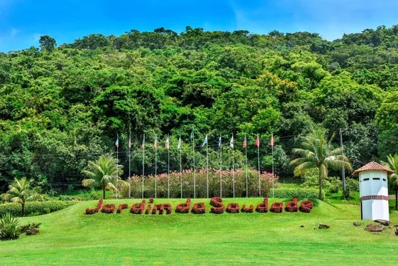 Dois Jazigos Perpétuos Jardim Da Saudade Rio De Janeiro (taxas 2025 Pagas)