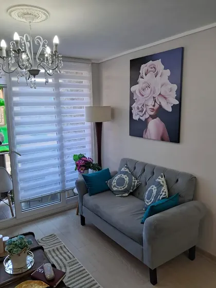 Arriendo Departamento Nuevo Y Amoblado