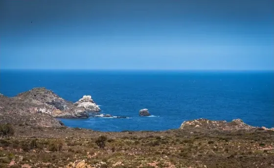 Terreno De 5.000 M² Con Vista Al Mar En Condominio Exclusivo