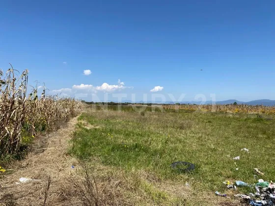 Terreno En Venta En Chapultepec, Chapultepec, Estado De México