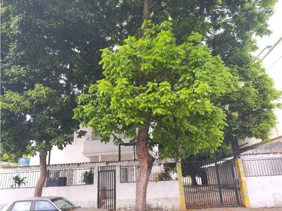 Se Alquila Casa Comercial 180m2 La Carlota 0391