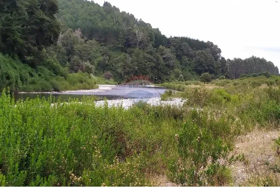 Tu Refugio Natural En Valdivia 26000 M² De Ensueño