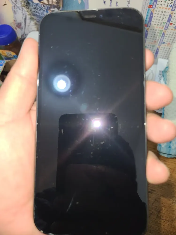 Apple iPhone 12 Pro Max (128 GB) Grafite | Parcelamento sem juros
