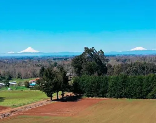 Parcelas Con Vista A Volcanes 5000m2 Rol (102864)