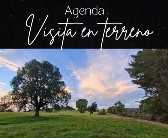 Parcelas Agricolas Vive Tu Campo