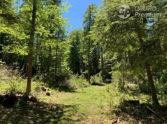 Parcela En Venta En Curarrehue