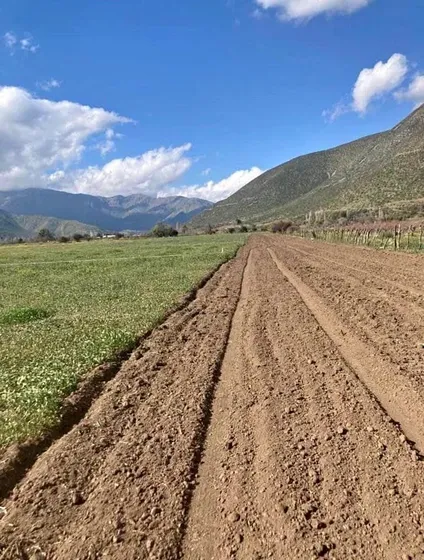En Venta Terreno 5000 M2 En San Jose De Piguchen, Putaendo