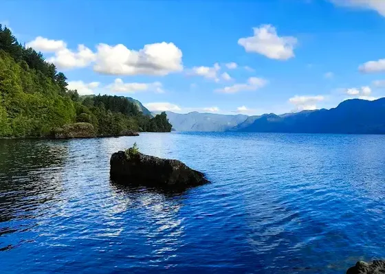 Parcela Lago Colico-cunco
