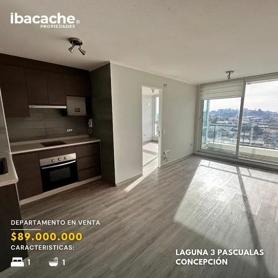 Ibacache Propiedades Vende Depto Laguna 3 Pascualas Conce