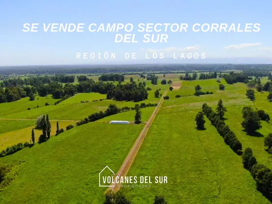 Terreno Agrícola 62,7 Ha En Venta Corrales Del Sur | A 25
