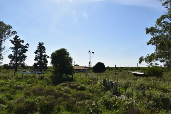 Alquiler Campo Federal