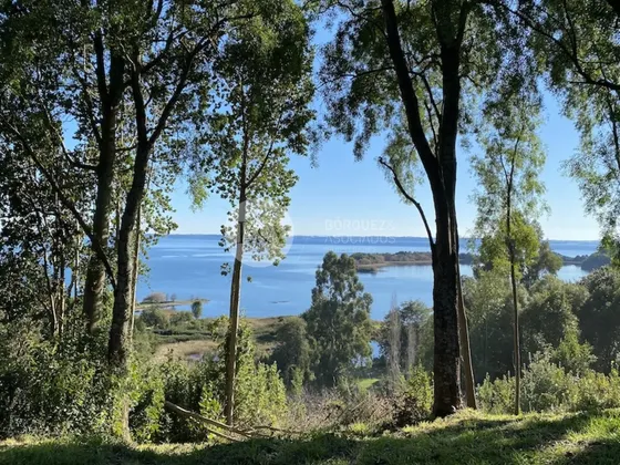 20984 - Parcela Frente Al Lago Llanquihue