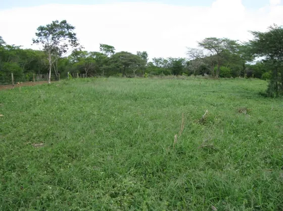 Yosmar Y Fernando Venden Finca En Jacura - Falcón
