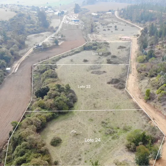 Parcela En Curepto - Lote 19 (sector Paraguay)