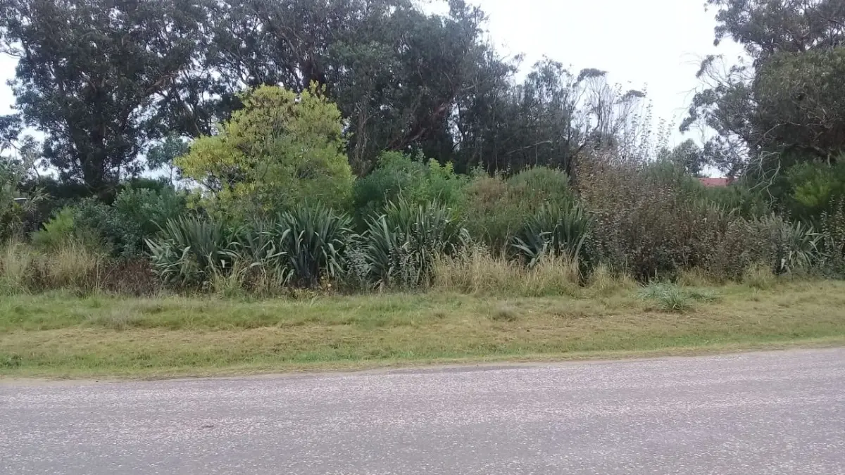 5.5-Hectare Plot for Sale in Virrey del Pino