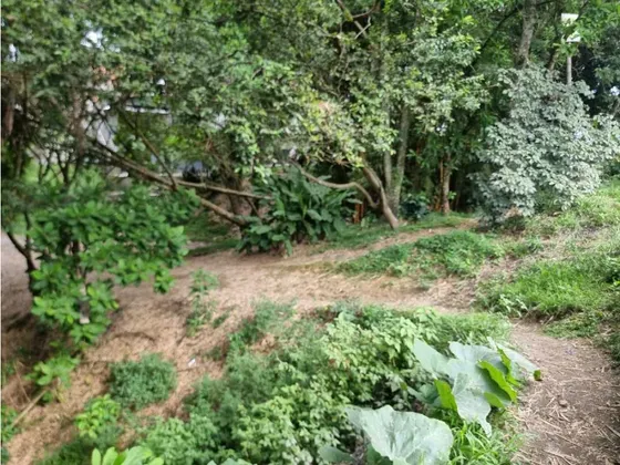Lote Para La Venta En Montenegro Sobre Via Principal
