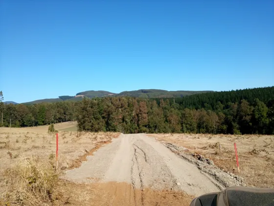 Liquido Parcela De 5000 M2.