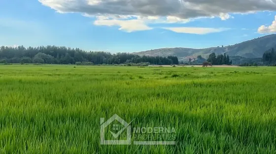 Agrícola En Venta En Retiro