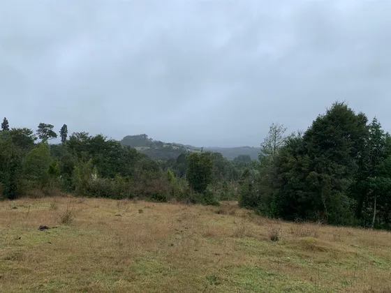 Campo En Venta De 45 Ha En Los Muermos