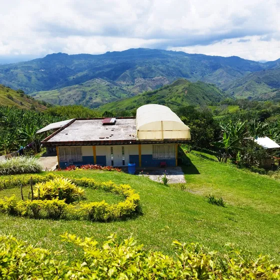 Venta Hermosa Finca En Producción 