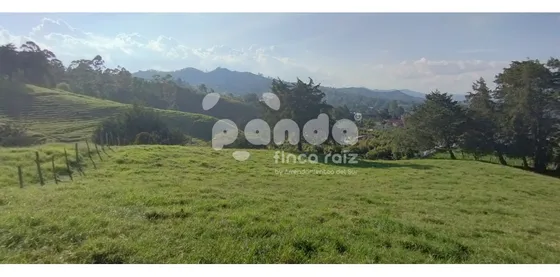 Lote Para La Venta En Rionegro - Pontezuela 