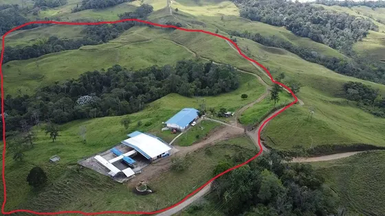 Se Vende Hacienda Ganadera  Darien Valle Del Cauca