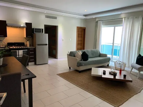 Apartamento En Alquiler De Una Habitación Amueblado