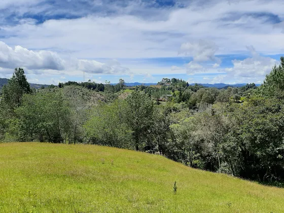 Venta Lote En El Alto De Las Palmas