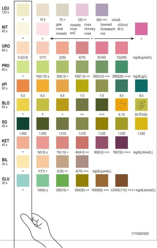 multistix 10 sg color chart multistix 10 sg color chart