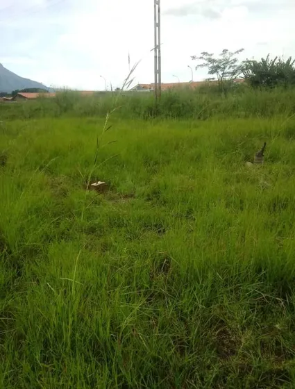 Terreno Residencial San Diego Avenida Don Julio Centeno 
