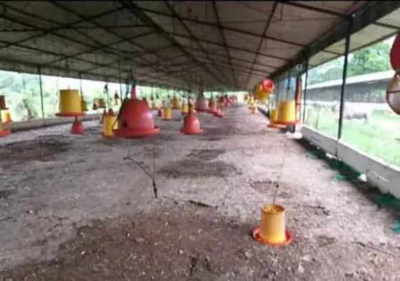 Finca Avicola 9.650m Ubicada En Eje Occidental Del Estado Carabobo. Jhon2