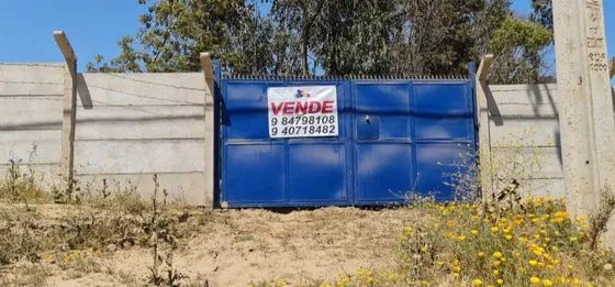 Se Vende Terreno Los Pinos/almendros Reñaca 9.900mtrs 