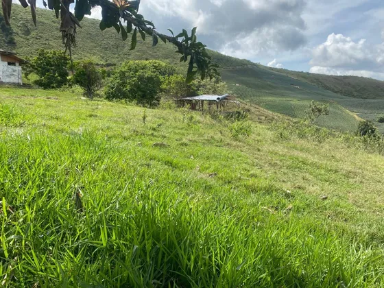 Vendo Fincas Ganaderas Valle Del Cauca