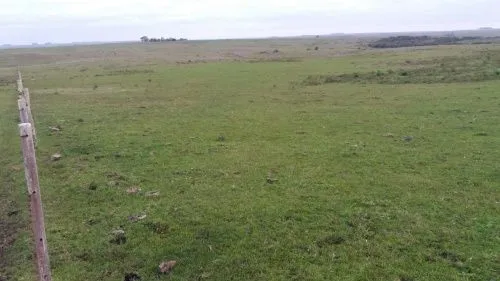 Campo En Venta (ref: Edu-18)