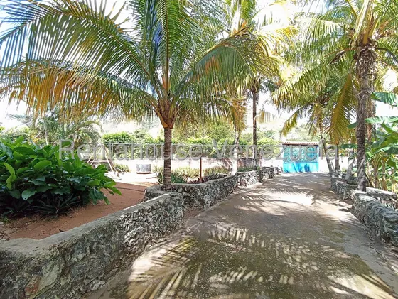 Posada En Alquiler En Villa De Cura Aragua 25-11793 Irrr