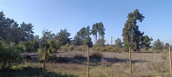 Caburga 191 G En Los Pinos De Reñaca. 5.5 Uf El M2. 