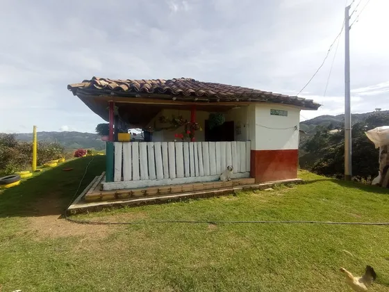 Vendo Finca En Abejorral Vereda La Catalina De 10,56 Hectáreas