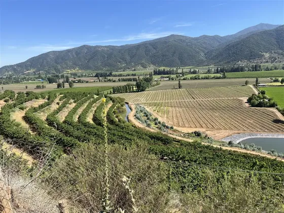 Agrícola En Venta En Las Cabras