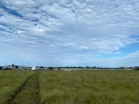 Venta Terrenos 600 M² Laguna De Tampamachoco Tuxpan Veracruz