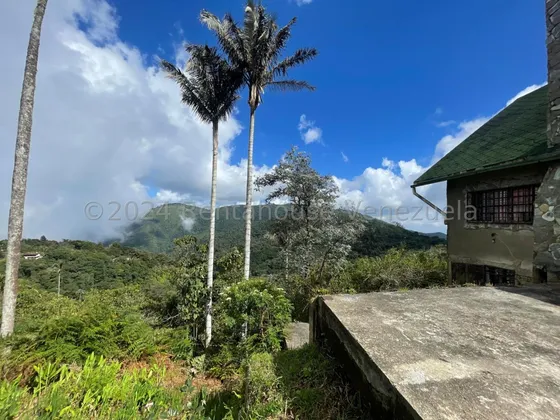 Casa Con Terreno Venta En La Colonia Tovar Excelente Ubicación Excelente Para Sembrar Turismo Nela 24-18402