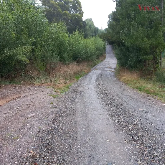 Parcela 6000 Mts Venta Valdivia Sector Los Aromos Ruta T340