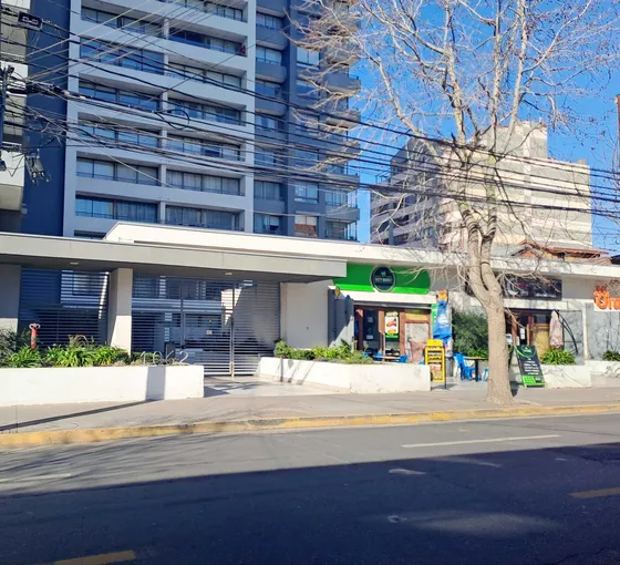 $550.000.- 3 Primeros Meses -  Centro Ccp. (92205)