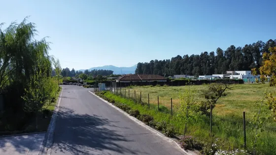 Vende Parcela 5000m2 Ubicacion Privilegiada Lonquen Norte